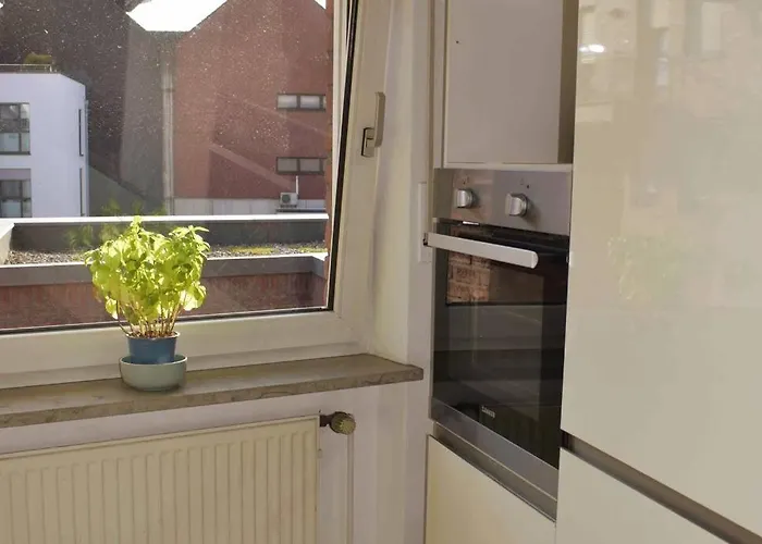 Leben An Der Ems. * Rheine